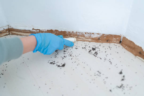 Best Pest Exclusion Services  in Weddington, NC